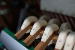 -长兴县妇幼保健院