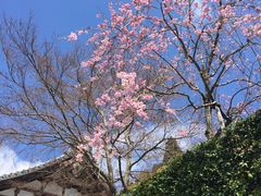 -三千院