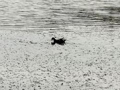 -上海交通大学(闵行校区)