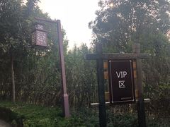 -灵山莲花公园-温泉度假区