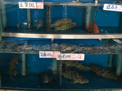 -旗鱼海番村(Orang Asli)
