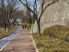 -滨河世纪广场公园