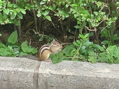 -长春市南湖公园