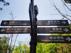 -铁山坪森林公园