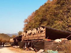 -塔川景区