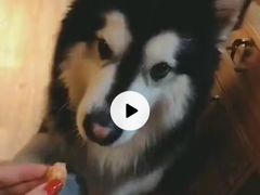 -白兔子密室(长寿路店)