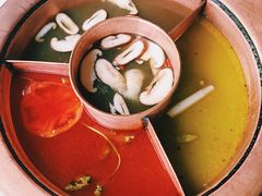 菌王奇香锅-滇釜火锅·能喝汤的火锅(车公庄店)