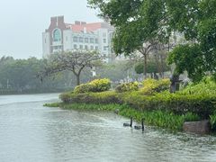 -厦门大学(思明校区)