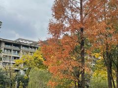 -锦园餐厅(九龙湖开元度假村店)