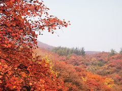 -周口店坡峰岭风景区