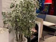 -必胜客(世纪港湾店)