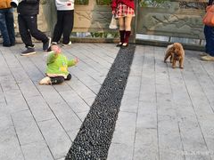 -重庆彩云湖湿地公园