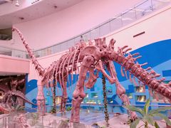 -陕西自然博物馆