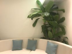 -健身堂科技美肌SPA