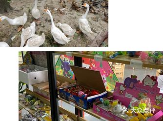 六一儿童节，让宝宝体验一下亲手种菜