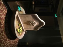 悦椿Spa(花园酒店)-悦椿SPA