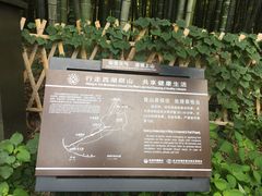 -杭州黄龙洞