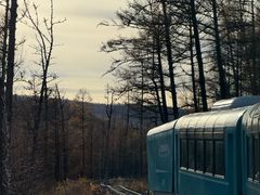 -莫尔道嘎国家森林公园