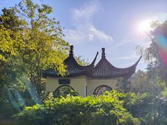 -红梅公园