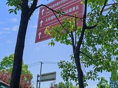 -桤木河湿地公园