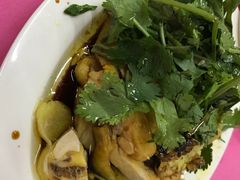 白切鸡-电白鸭粥店(下沙二坊88号店)