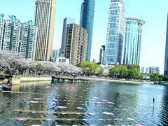-西北湖绿化广场