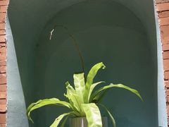 -伊斯麦尔丝路·新派菜(沙子口店)