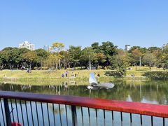 -四海公园(南山区)
