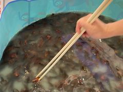 -松雷商业(南岗店)