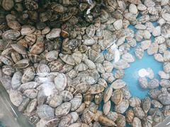 -鑫渔港海鲜本地菜·山海关浑锅(东戴河店)