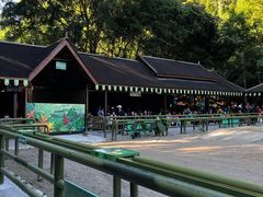 -野象谷景区