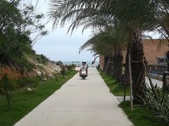 -广东惠东海龟国家级自然保护区