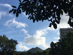 -东部华侨城