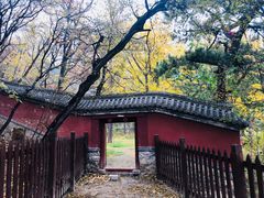 -阳台山自然风景区