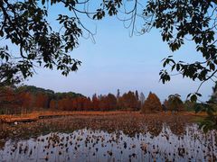 -凤凰沟景区