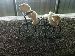 -济州岛泰迪熊博物馆