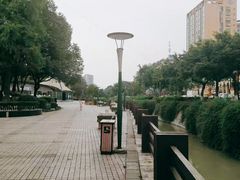 -神仙树公园