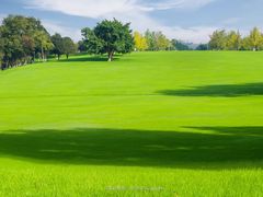 -重庆中央公园(渝北区)