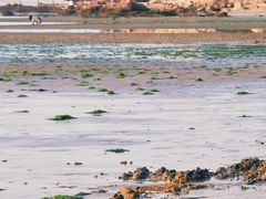 -老龙头景区