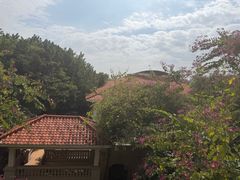 -广州凤凰城酒店-维也纳西餐厅