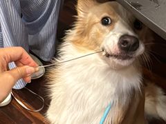 -顺德·古草食记(长寿店)