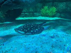 -沈阳海洋探索中心