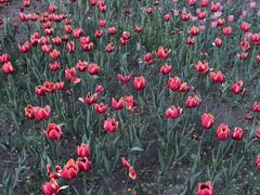 -长春公园(普阳街道)