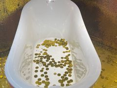 -不可思议减压馆·解压博物馆·摔碗发泄·团建定制