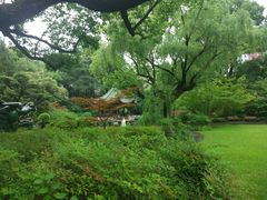-申粤轩酒楼·三十年粤菜经典(丁香花园店)