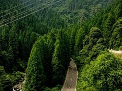 -瓦屋山景区