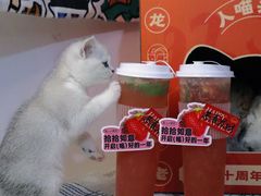-鱼上·烤鱼(万象城店)