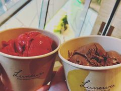 树莓雪葩-LUNEURS月乐诗 冰淇淋咖啡(环贸店)