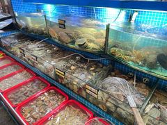 -望海潮海鲜店 特色家常菜(在海一方店)