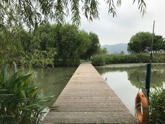 -长兴太湖图影湿地文化园